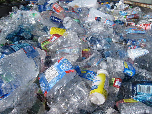 El plástico y el medio ambiente