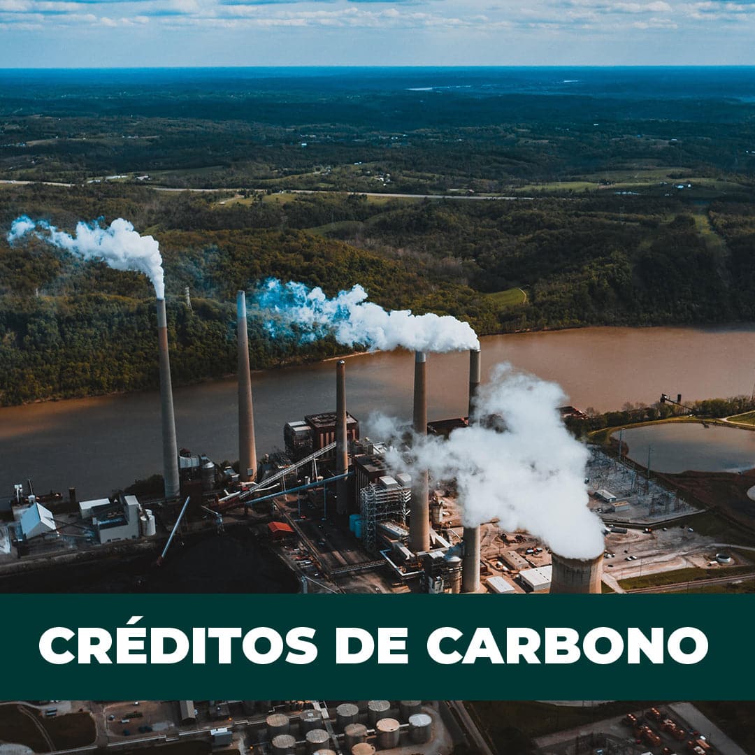Créditos de carbono