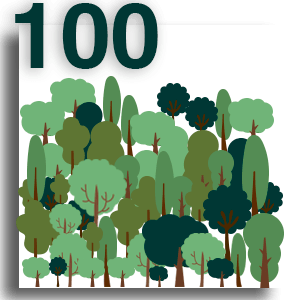 PLANTACIÓN DE 100 ÁRBOLES / MES - Planta Mi Árbol