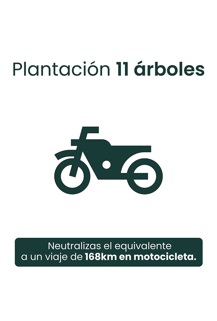 PLANTACIÓN DE 11 ÁRBOLES