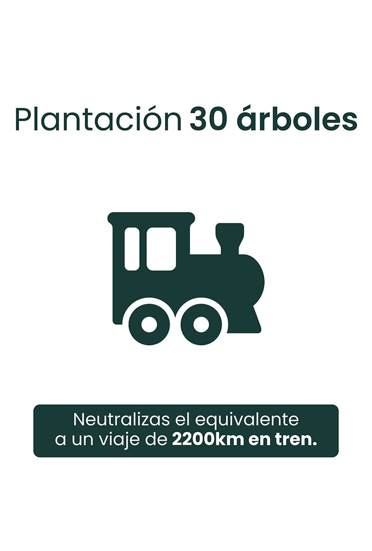 PLANTACIÓN DE 30 ÁRBOLES