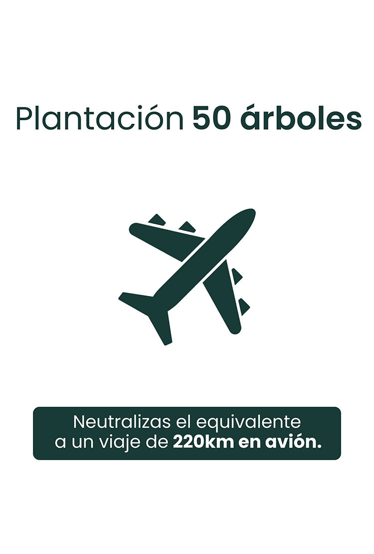 PLANTACIÓN DE 50 ÁRBOLES