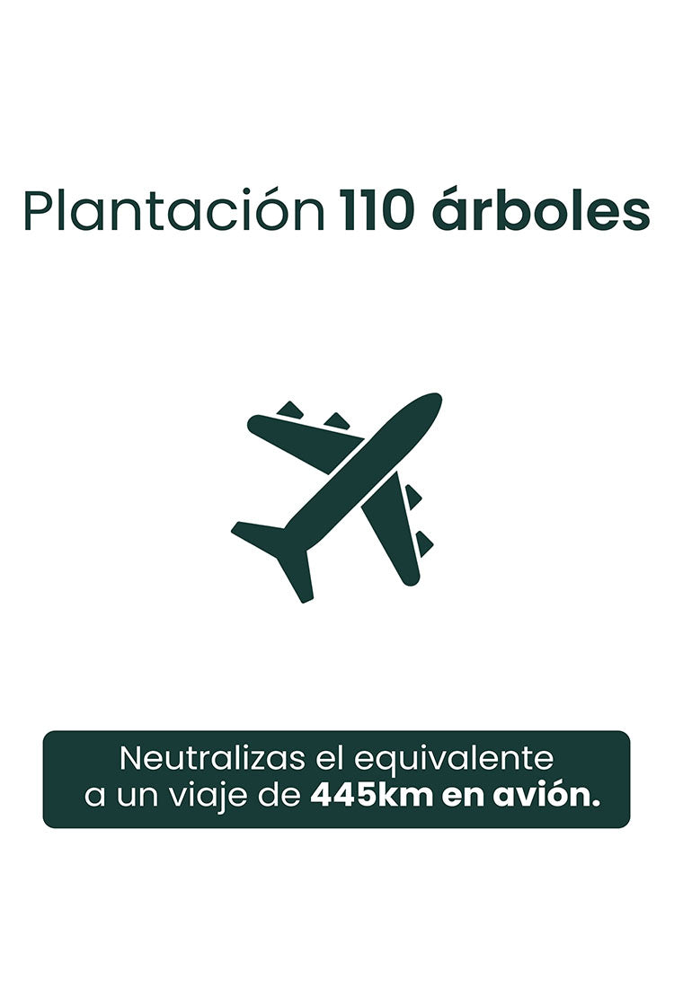 PLANTACIÓN DE 110 ÁRBOLES